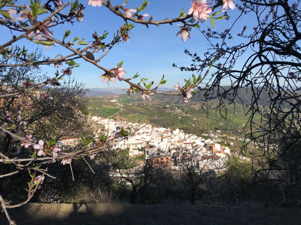 Casa La Vista Daire Casarabonela Dış mekan fotoğraf