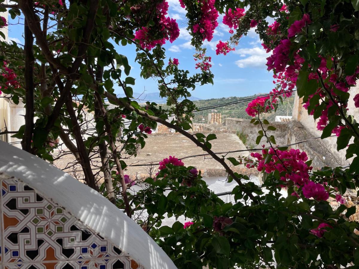 Casa La Vista Daire Casarabonela Dış mekan fotoğraf