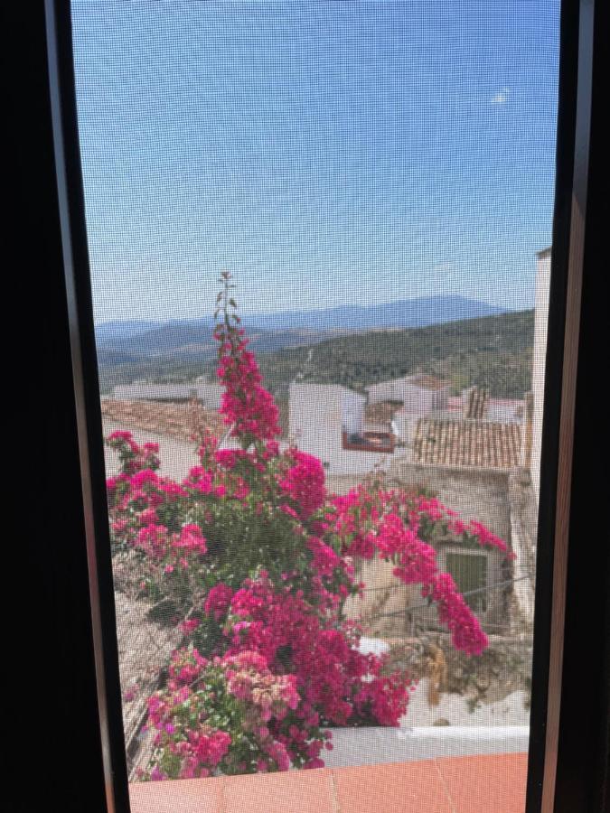 Casa La Vista Daire Casarabonela Dış mekan fotoğraf